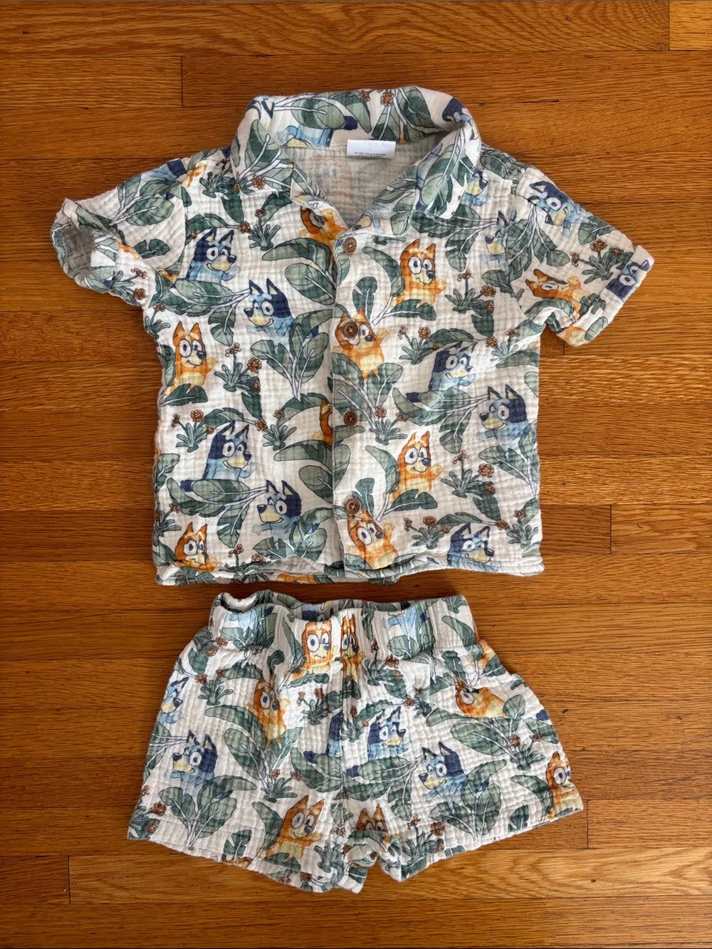 Kids Bluey Outfit